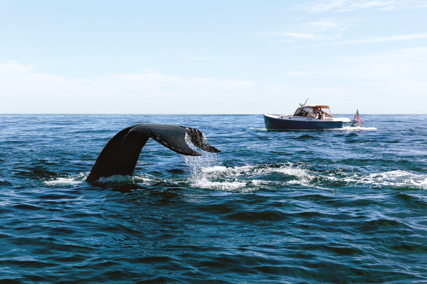 A whale's tail emerges from the ocean near a small boat under a clear blue sky.